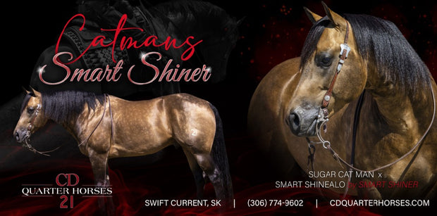 Arena Banners | Sponsor Banner