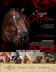 Graphic Design | Stallion Ad