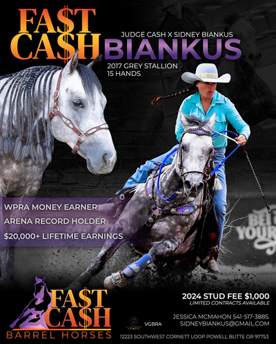 Graphic Design | Stallion Ad