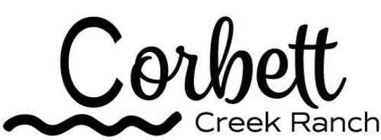 Logo Design | Base